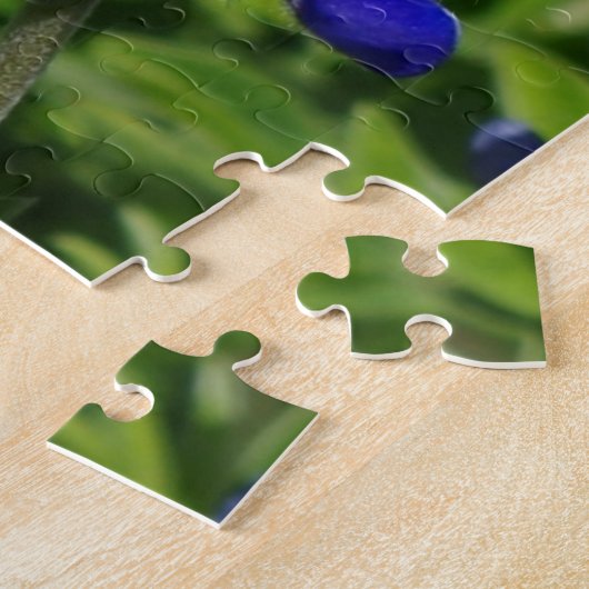 Texas Bluebonnets Puzzle (Seite)