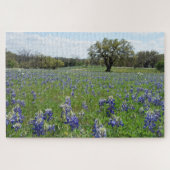 Texas Bluebonnets Puzzle (Horizontal)