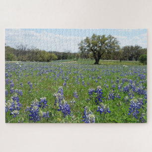 Texas Bluebonnets Puzzle