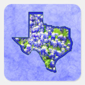TEXAS BLUEBONNETS QUADRATISCHER AUFKLEBER (Vorderseite)