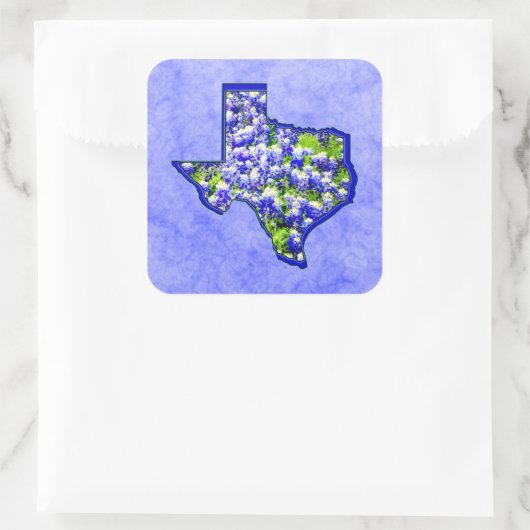 TEXAS BLUEBONNETS QUADRATISCHER AUFKLEBER (Tasche)