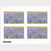 Texas Bluebonnets Rechteckiger Aufkleber (Blatt)
