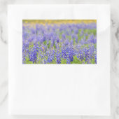 Texas Bluebonnets Rechteckiger Aufkleber (Tasche)