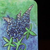 Texas Bluebonnets Save The Date