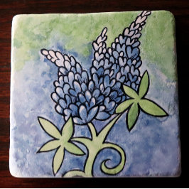 Texas Bluebonnets Steinuntersetzer