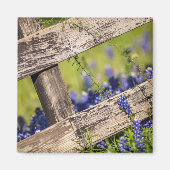 Texas Bluebonnets um einen Länderzaun Magnet (Vorne)