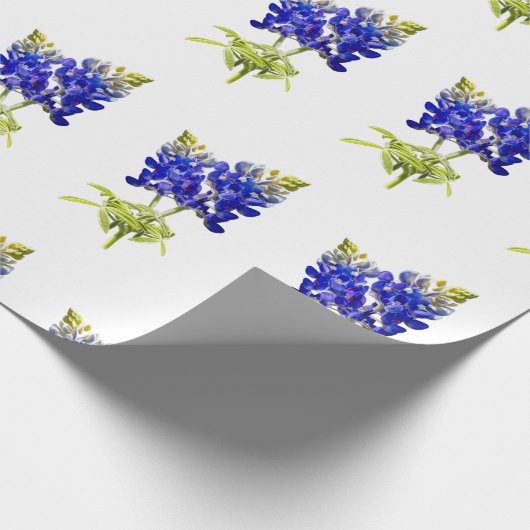 Texas Bluebonnets, Umschlagpapier Geschenkpapier (Ecke)