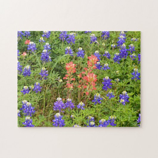 Texas Bluebonnets und Indische Paintbrush-Blume Puzzle (Horizontal)
