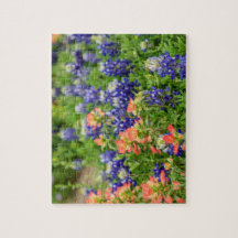 Texas Bluebonnets und Rote Pinselstriche Wildblume