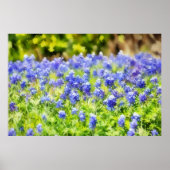 Texas Bluebonnets Wasserfarben-Stil Kunstprint Poster (Vorne)