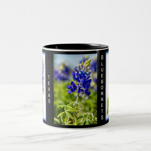 Texas Bluebonnets Zweifarbige Tasse (Mittel)