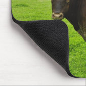 Texas brannte orange Longhorn-Ochsen Mousepad (Ecke)