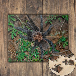 Texas Brown Tarantula Puzzle