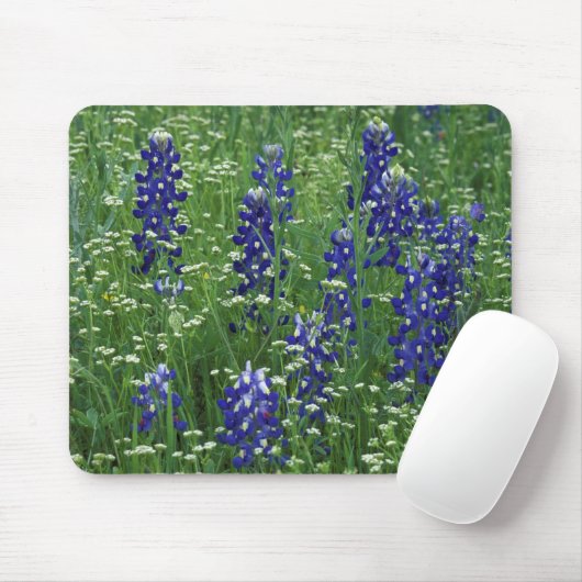 Texas, Buchanan-See. Texas Bluebonnet und Wild Mousepad (Mit Mouse)