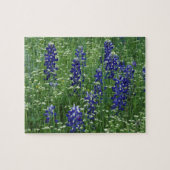 Texas, Buchanan-See. Texas Bluebonnet und Wild Puzzle (Horizontal)