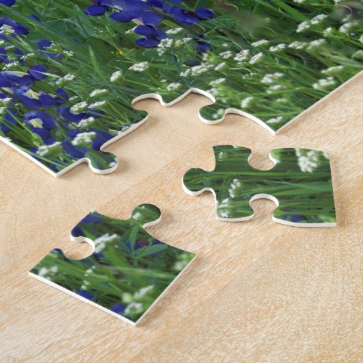 Texas, Buchanan-See. Texas Bluebonnet und Wild Puzzle (Seite)