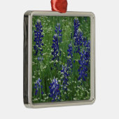 Texas, Buchanan-See. Texas Bluebonnet und Wild Silbernes Ornament (Rechts)