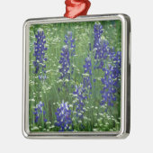 Texas, Buchanan-See. Texas Bluebonnet und Wild Silbernes Ornament (Links)
