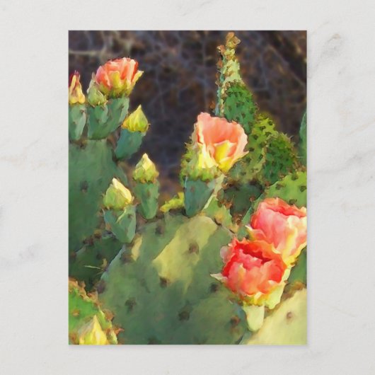 Texas Cactus 2 Postkarte (Vorderseite)