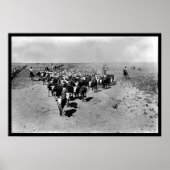 Texas Cattle Drive Poster (Vorne)