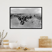 Texas Cattle Drive Poster (Küche)