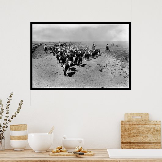Texas Cattle Drive Poster (Küche)