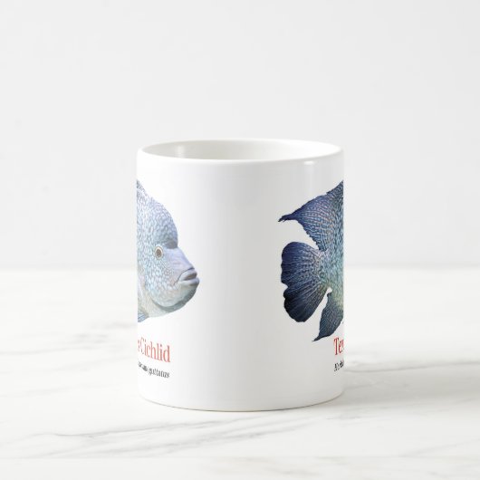 Texas Cichlid Kaffeetasse (Mittel)