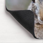 Texas Cottontail Kaninchen Mousepad (Ecke)
