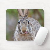 Texas Cottontail Kaninchen Mousepad (Mit Mouse)