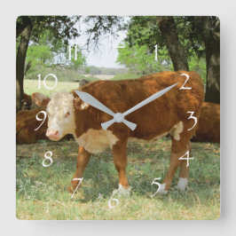 Texas Cow Landscape Quadratische Wanduhr