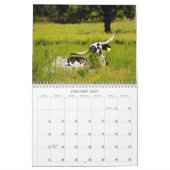 Texas Cows Fotokalender Kalender (Jan 2027)