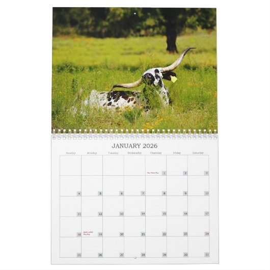 Texas Cows Fotokalender Kalender (Jan 2026)