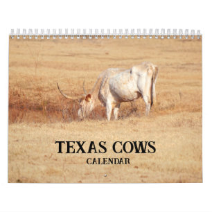 Texas Cows Fotokalender Kalender