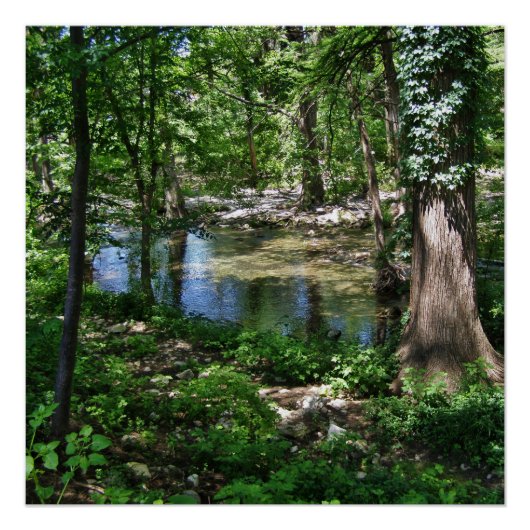 Texas Cypress Creek Wimberley Poster (Vorderseite)