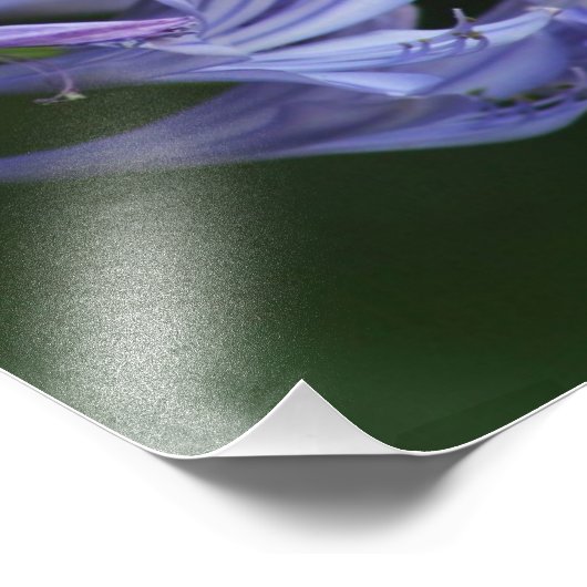 Texas Delight Fotodruck (Ecke)