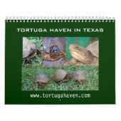 Texas-Dosenschildkröte-Kalender Kalender (Titelbild)