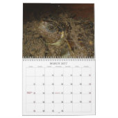 Texas-Dosenschildkröte-Kalender Kalender (Mär 2027)