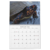 Texas-Dosenschildkröte-Kalender Kalender (Feb 2026)