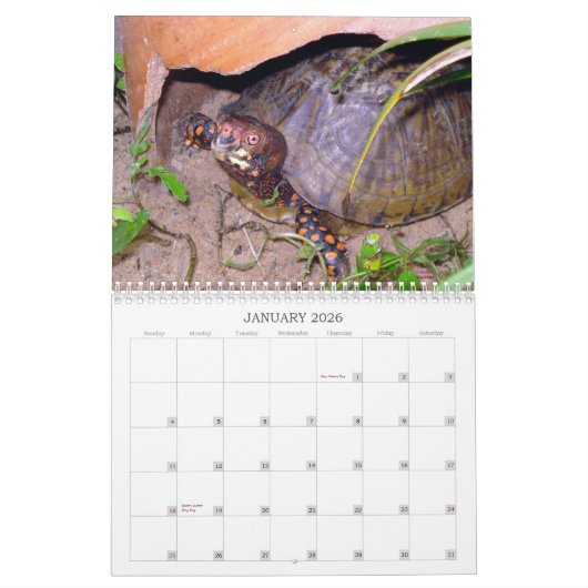 Texas-Dosenschildkröte-Kalender Kalender (Jan 2026)