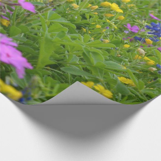 Texas-Feld der wilden Blumen und der Bluebonnets. Geschenkpapier (Ecke)
