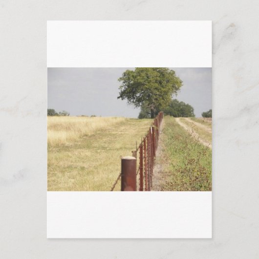 Texas Fence Line Postkarte (Vorderseite)