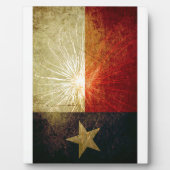Texas Flag Firework Fotoplatte (Vorderseite)