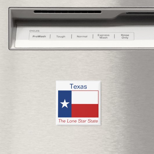 Texas Flag Magnet (In Situ (Geschirrspüler))