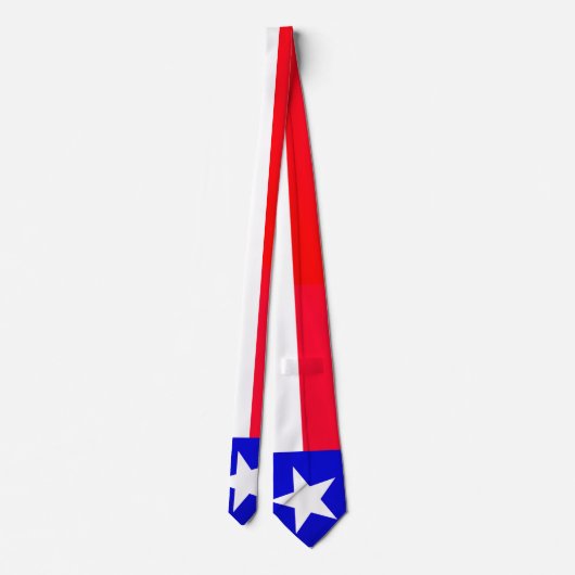 Texas Flag Neck Tie Krawatte (Rückseite)