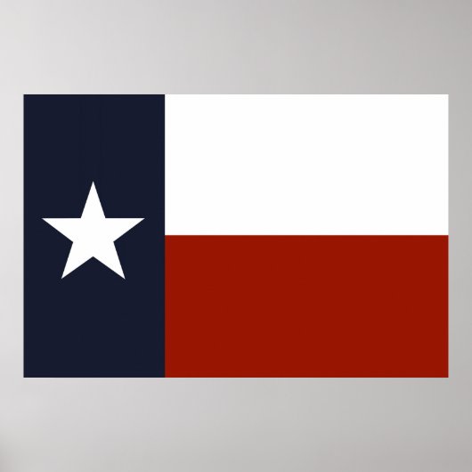 Texas Flag Poster (Vorne)