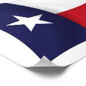 Texas Flag Poster Print (Ecke)