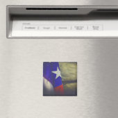 Texas Flag Rustic Lone Star Staat USA Magnet (In Situ (Geschirrspüler))