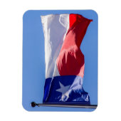 Texas-Flagge Magnet (Vertikal)