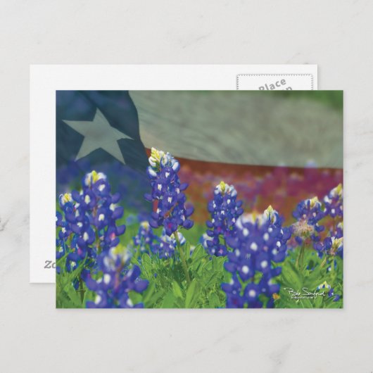 Texas-Flagge mit Bluebonnets Postkarte (Vorne/Hinten)
