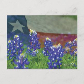 Texas-Flagge mit Bluebonnets Postkarte
